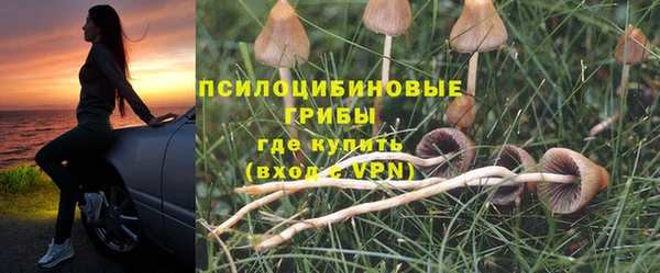 дурь Ладушкин