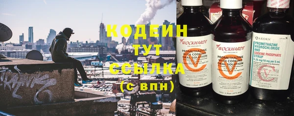 дурь Ладушкин