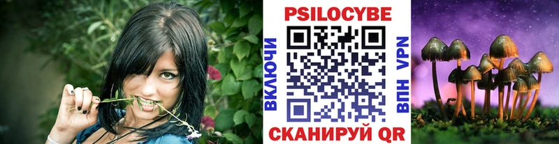Псилоцибиновые грибы Cubensis  где можно купить   Ульяновск 