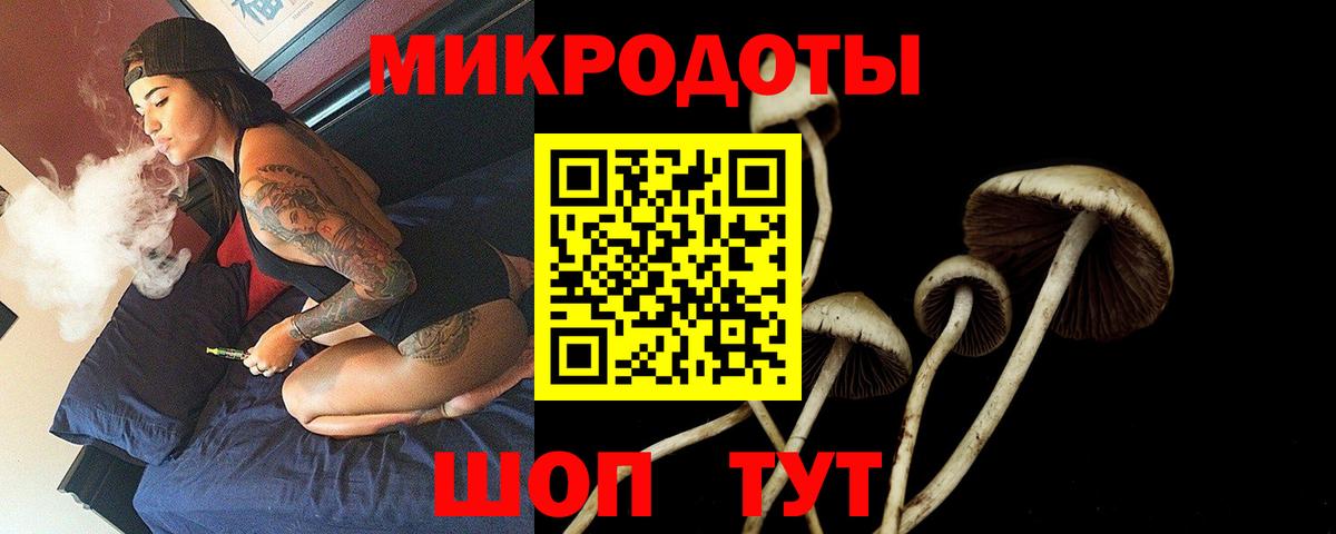 Ульяновск  Галлюциногенные грибы Cubensis  Вход с VPN 