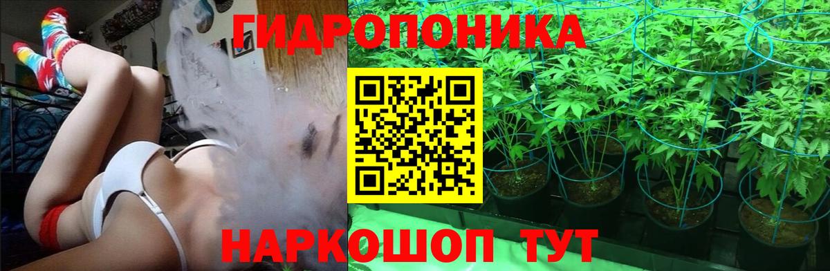 Ульяновск  Шишки марихуана SATIVA & INDICA  Конопля VHQ  Марихуана ГИДРОПОН  Вход с VPN 